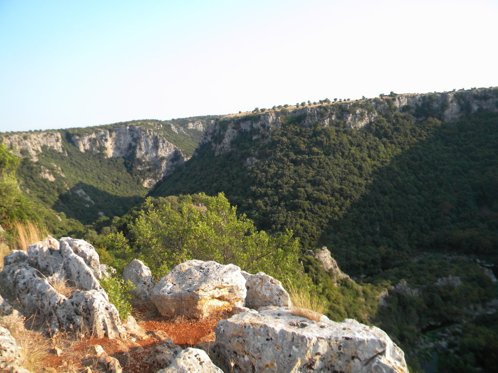 DSCN2643 .JPG